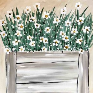 Box of Daisies