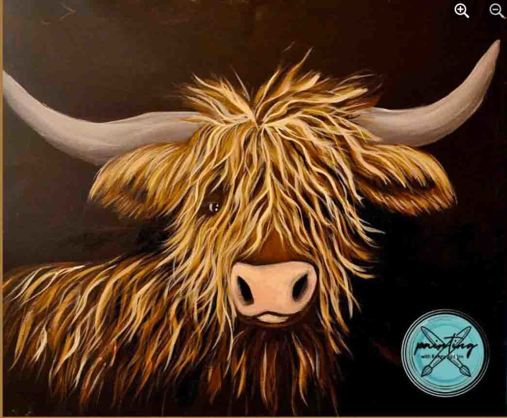 Highland Cow